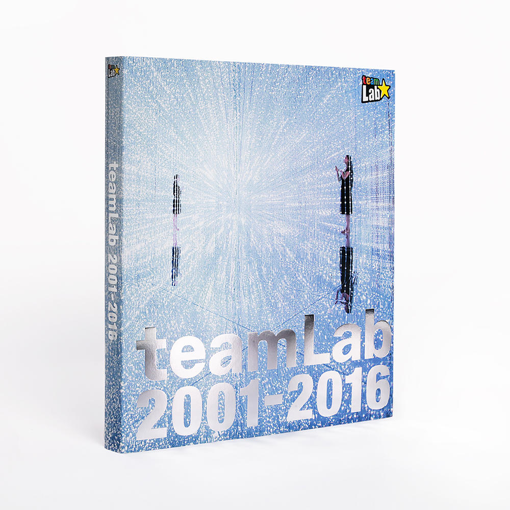 teamLab 2001-2016