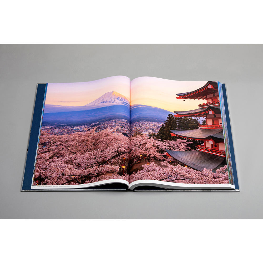 【取り寄せ】BIG BOOK 富士山