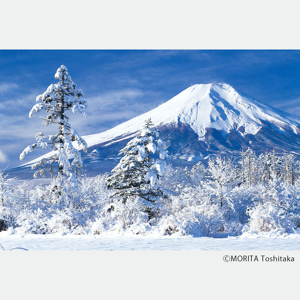 【取り寄せ】BIG BOOK 富士山