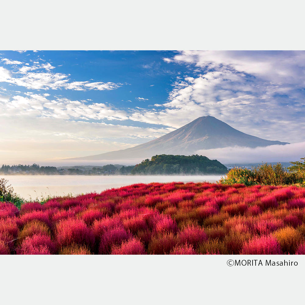 【取り寄せ】BIG BOOK 富士山