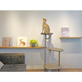 [送料無料 翌日出荷可] KARIMOKU CAT TREE 代官山 蔦屋書店オリジナルカラー ダークグレー&シアーグレー