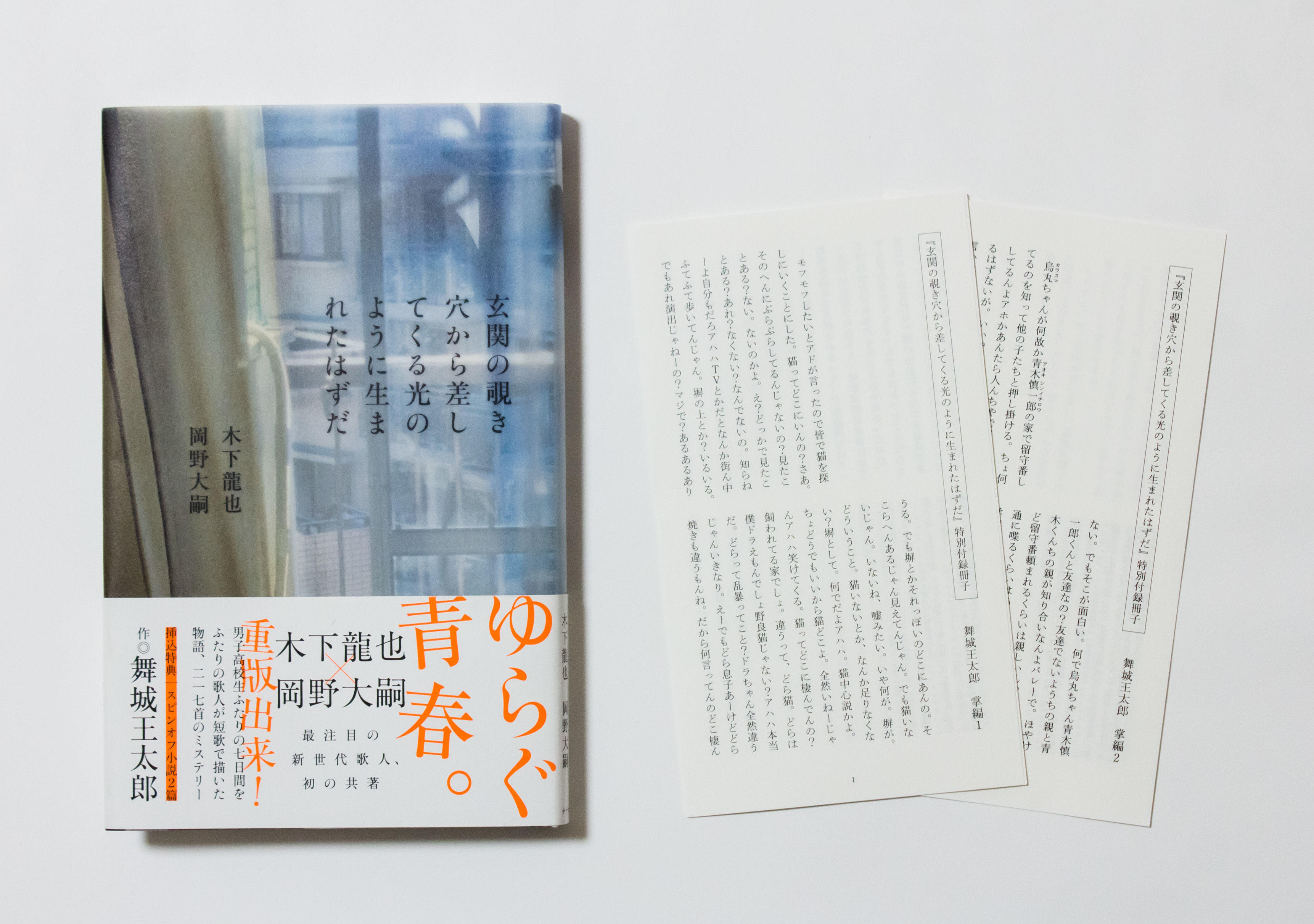 玄関の覗き穴から差してくる光のように生まれたはずだ　木下龍也、岡野大嗣　挟込小説：舞城王太郎