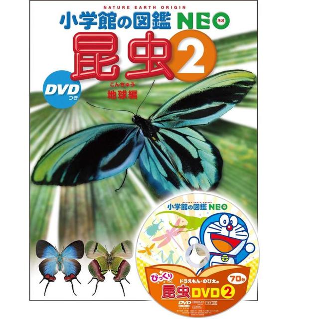 『小学館の図鑑NEO〔新版〕昆虫2 DVDつき: 地球編』執筆・企画構成／小池啓一