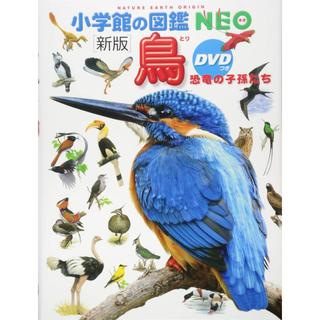 『小学館の図鑑NEO〔新版〕 鳥 恐竜の子孫たち DVDつき』 監/上田恵介 著/柚木 修 画/水谷高英