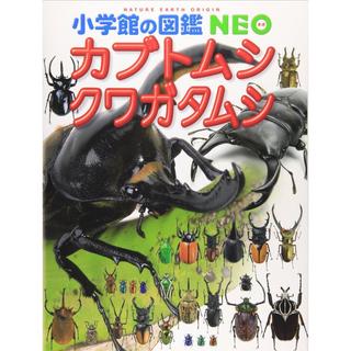 『小学館の図鑑NEO　カブトムシ・クワガタムシ』 監修/小池啓一、 写真／新開 孝