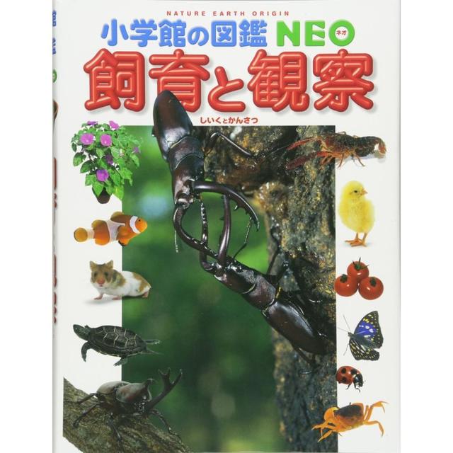 『小学館の図鑑NEO　飼育と観察』 指導・執筆／筒井　学、萩原清司  他