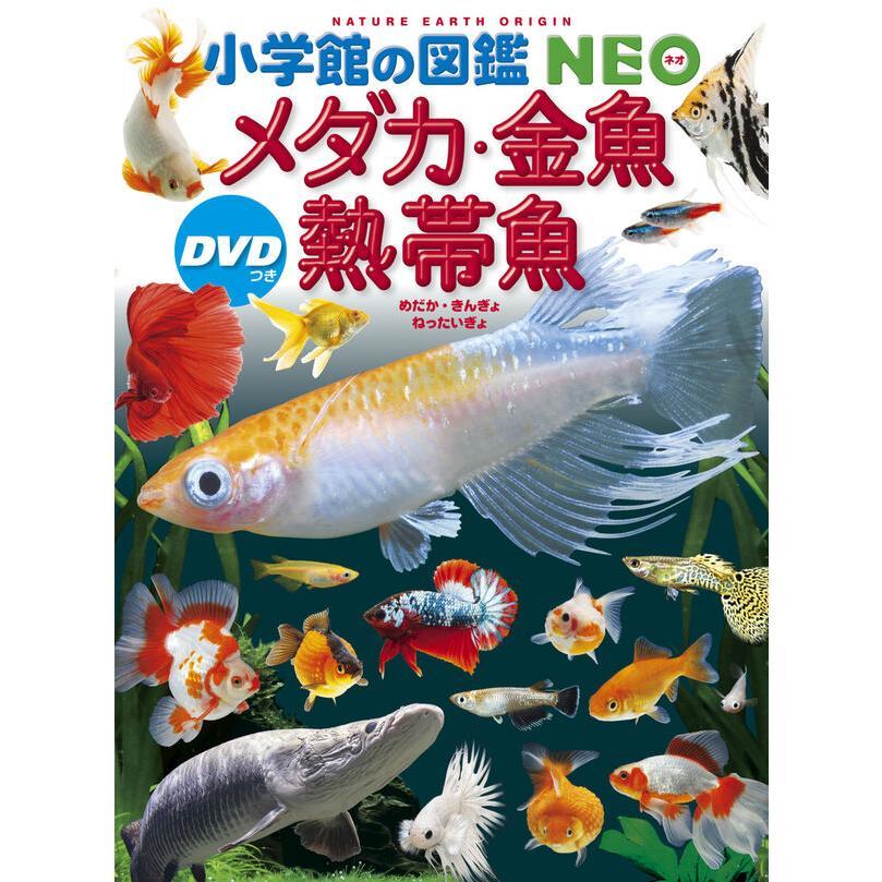 『小学館の図鑑NEO　29冊セット』