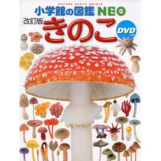 小学館の図鑑NEO [改訂版] きのこ DVD付き