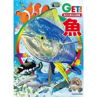 角川の集める図鑑ＧＥＴ！ 魚