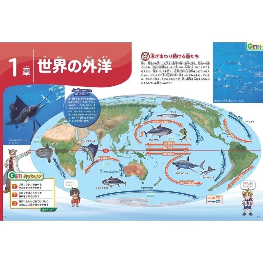 角川の集める図鑑ＧＥＴ！ 魚