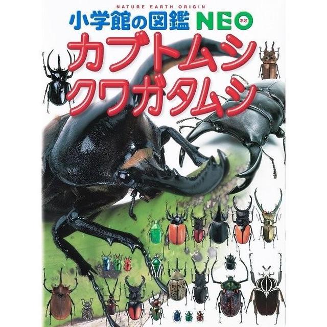 小学館の図鑑NEO　カブトムシ・クワガタムシ