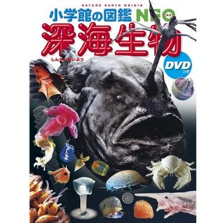 小学館の図鑑NEO　深海生物　ＤＶＤつき