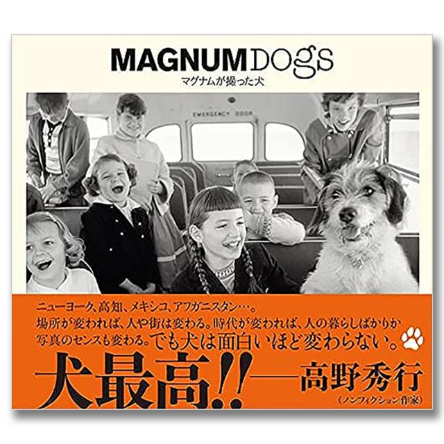 MAGNUM DOGS マグナムが撮った犬