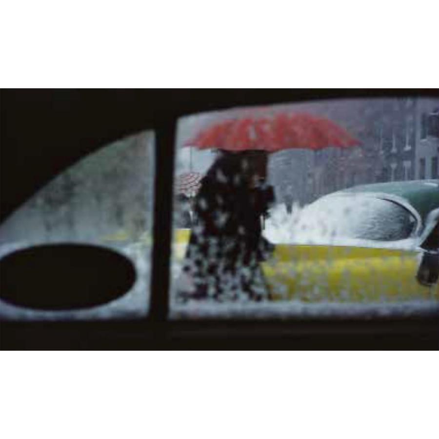 ソール・ライター　Saul Leiter　The Centennial Retrospective