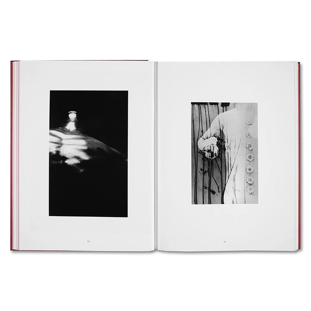 EIKOH HOSOE by Yasufumi Nakamori [JAPANESE EDITION]　細江栄公 写真集