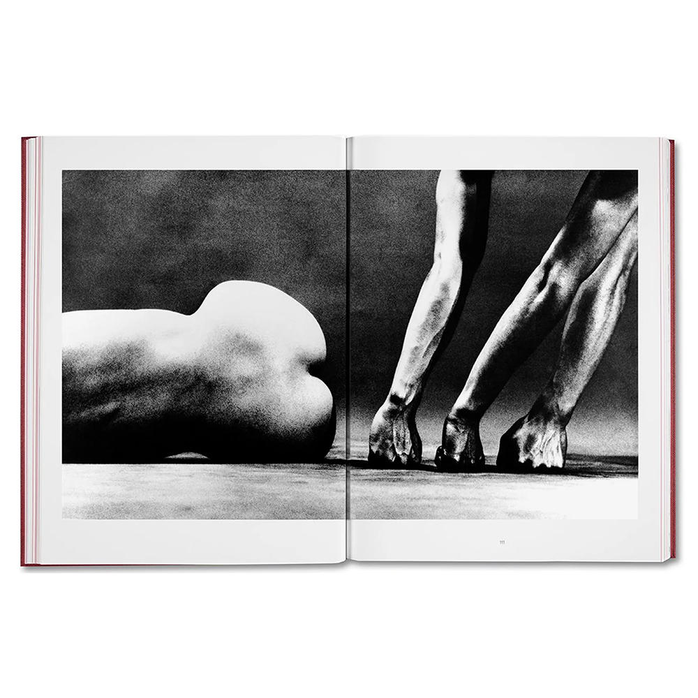 EIKOH HOSOE by Yasufumi Nakamori [JAPANESE EDITION]　細江栄公 写真集