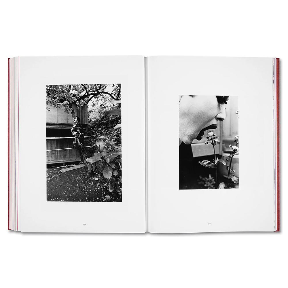 EIKOH HOSOE by Yasufumi Nakamori [JAPANESE EDITION]　細江栄公 写真集