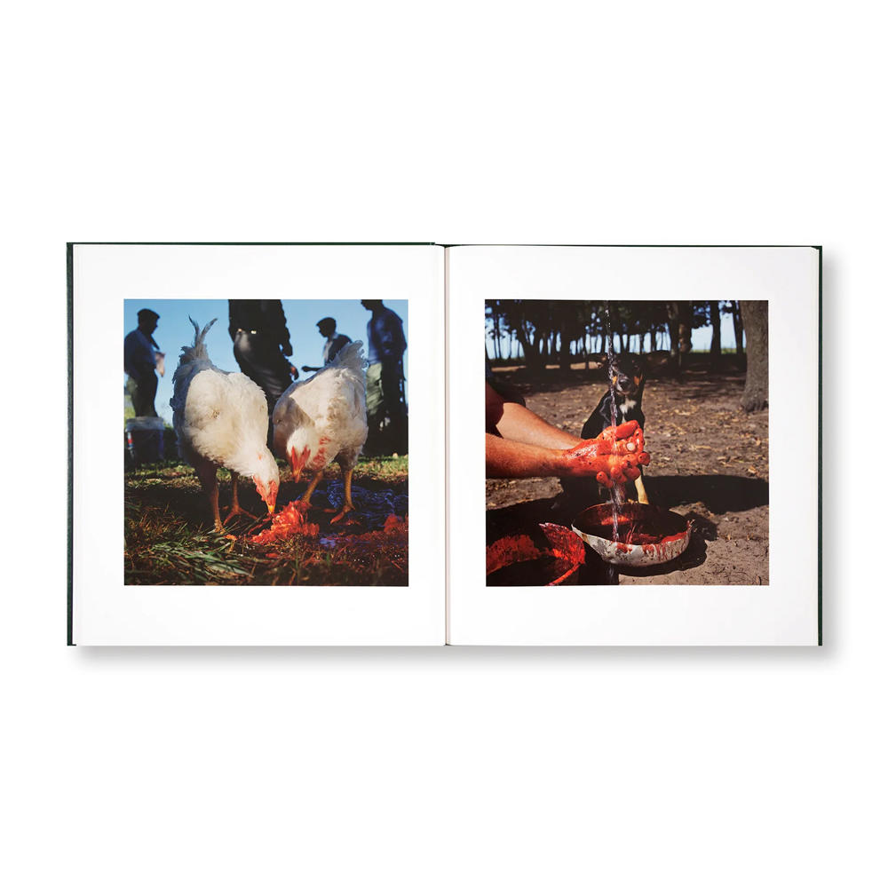 【著者サイン入】ON THE SIXTH DAY by Alessandra Sanguinetti