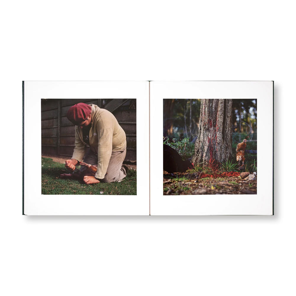 【著者サイン入】ON THE SIXTH DAY by Alessandra Sanguinetti