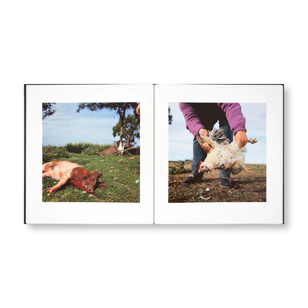 【著者サイン入】ON THE SIXTH DAY by Alessandra Sanguinetti