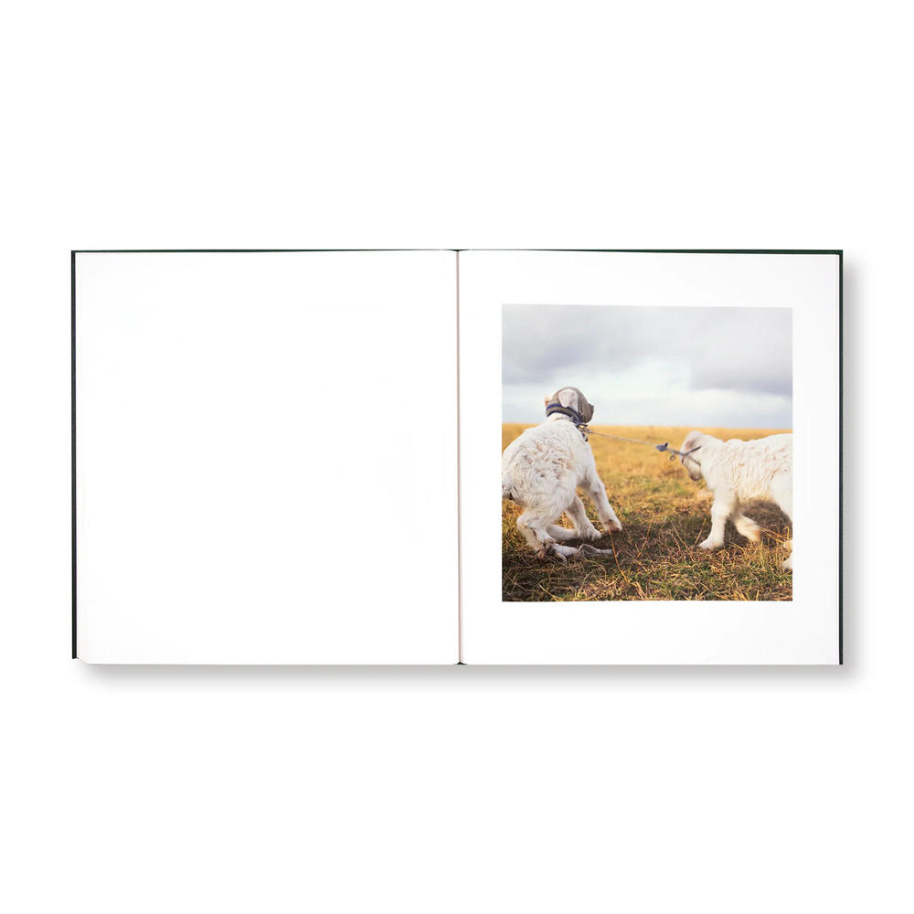 【著者サイン入】ON THE SIXTH DAY by Alessandra Sanguinetti