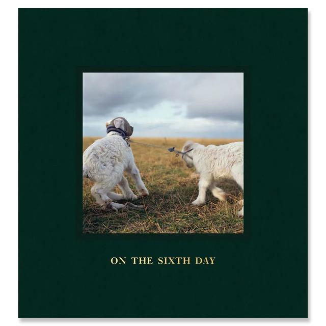 【著者サイン入】ON THE SIXTH DAY by Alessandra Sanguinetti