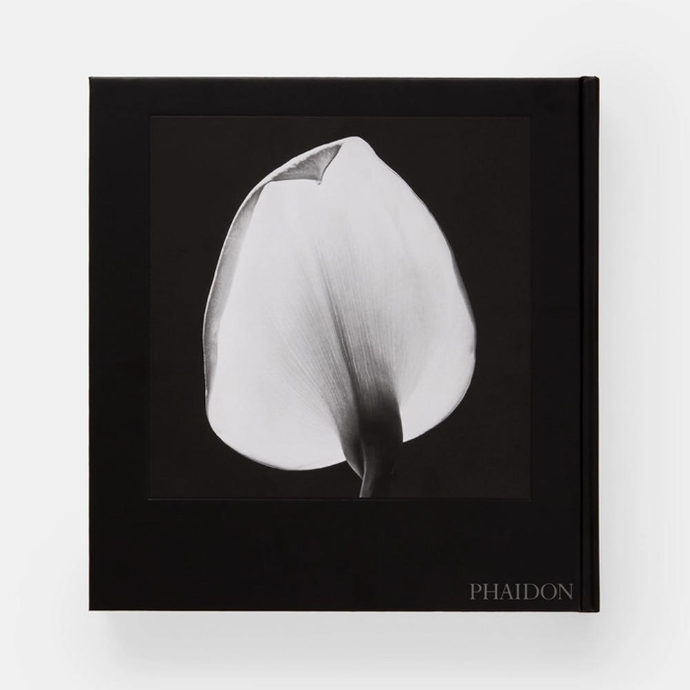 Mapplethorpe Flora: The Complete Flowers by Robert Mapplethorpe ロバート・メイプルソープ