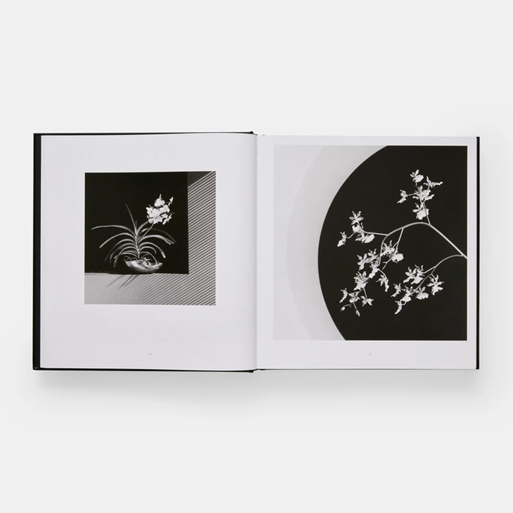 Mapplethorpe Flora: The Complete Flowers by Robert Mapplethorpe ロバート・メイプルソープ