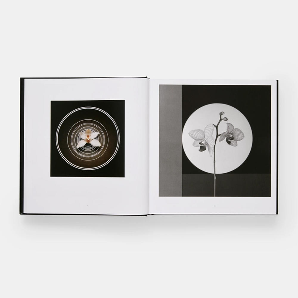 Mapplethorpe Flora: The Complete Flowers by Robert Mapplethorpe ロバート・メイプルソープ