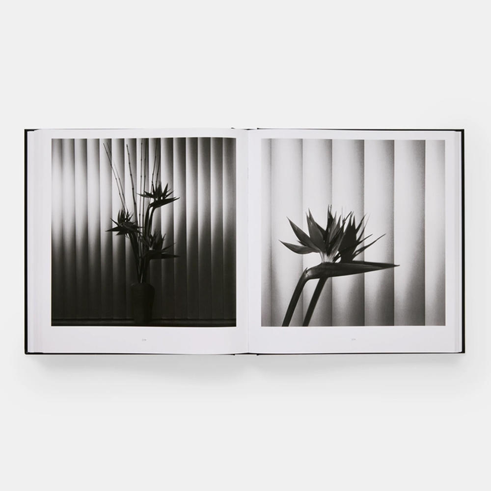 Mapplethorpe Flora: The Complete Flowers by Robert Mapplethorpe ロバート・メイプルソープ