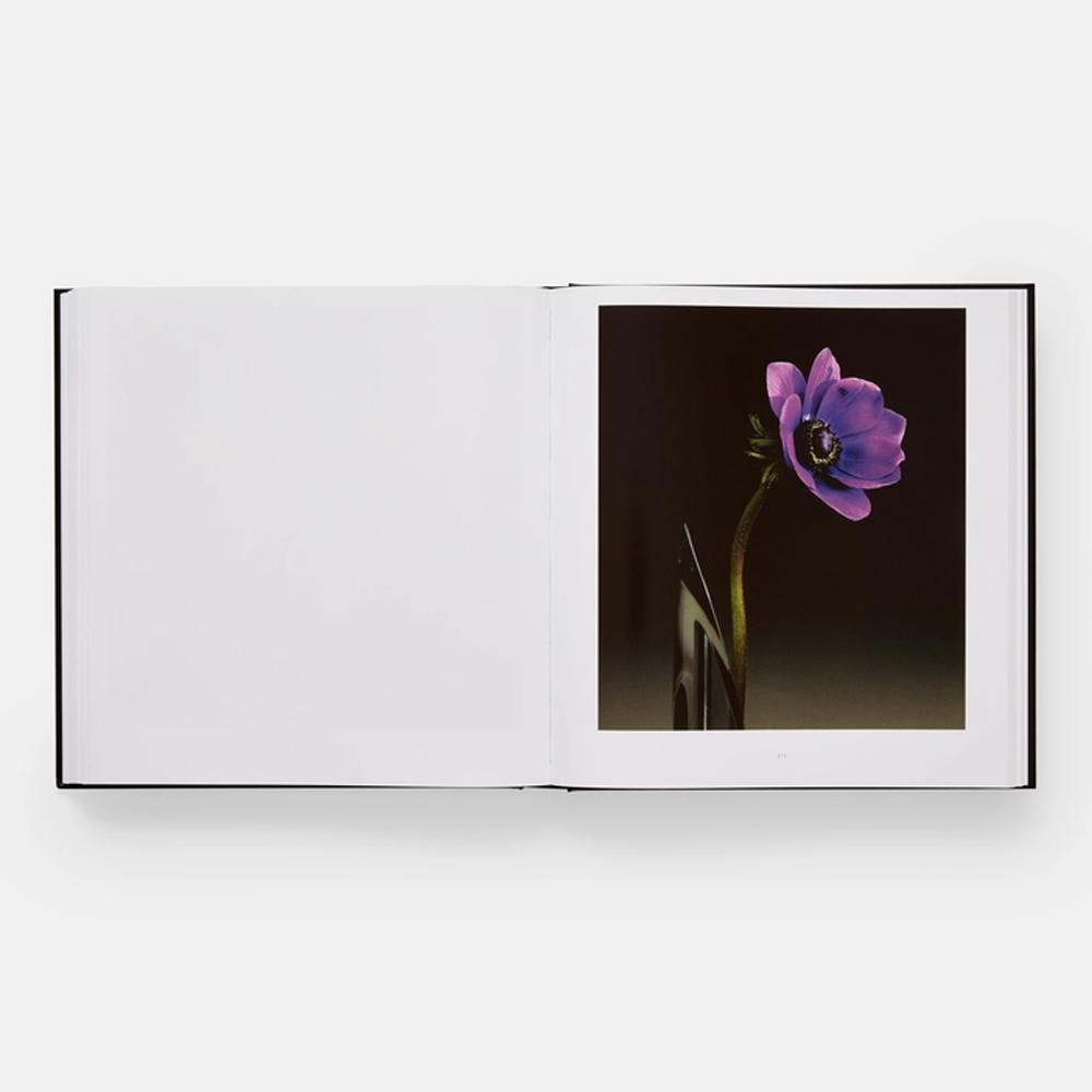 Mapplethorpe Flora: The Complete Flowers by Robert Mapplethorpe ロバート・メイプルソープ