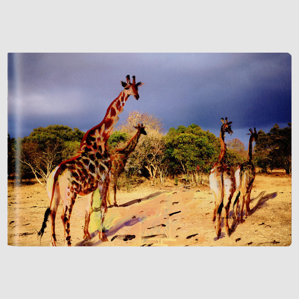 LOUIS VUITTON TRAVEL BOOK SOUTH AFRICA