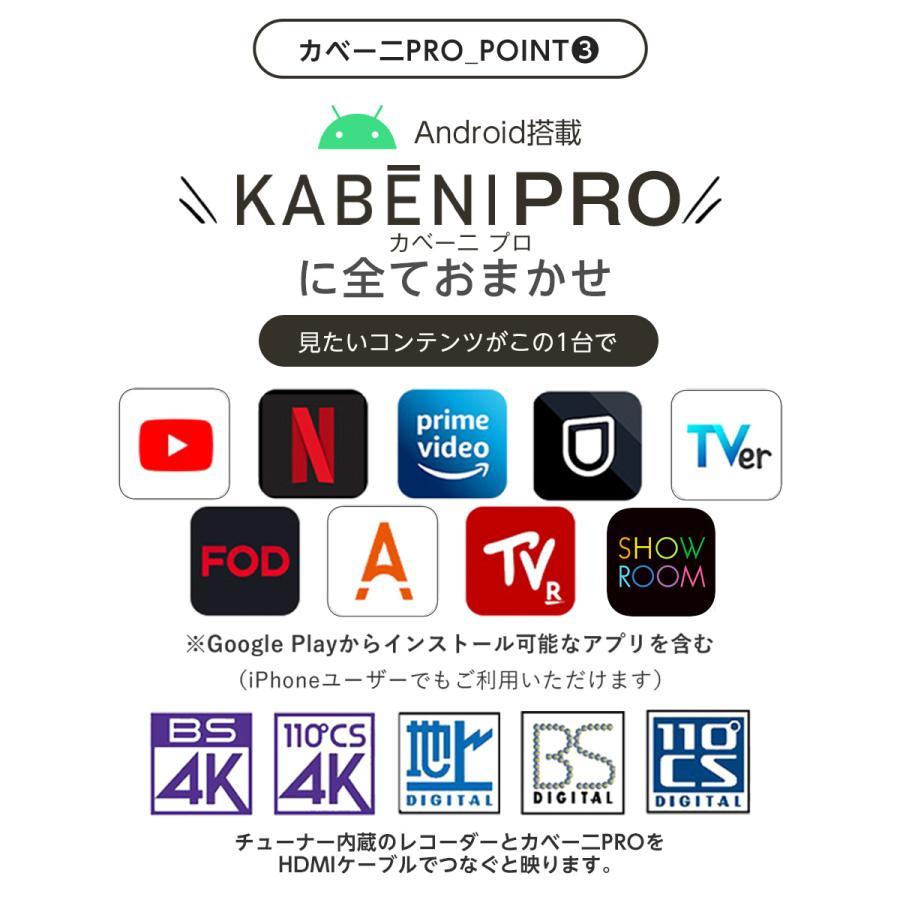 カベーニ　PRO