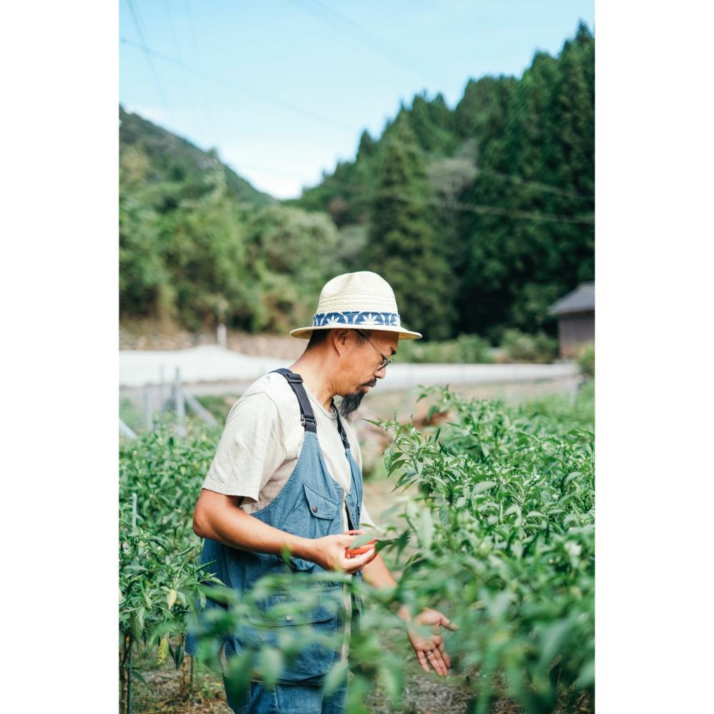 【蔦屋書店感謝祭_202409】fu do ku kan Bamboo 青唐辛子農家のつくる　クラフトカレーペースト　グルグルグリーンカレー